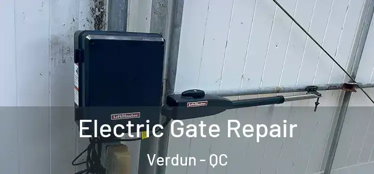  Electric Gate Repair Verdun - QC