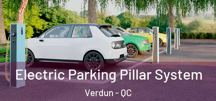 Electric Parking Pillar System Verdun - QC