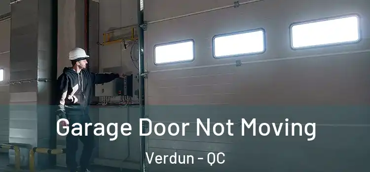  Garage Door Not Moving Verdun - QC