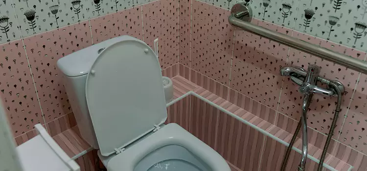 Meeting Diverse Needs With Accessible Restroom Solutions in Verdun, QC
